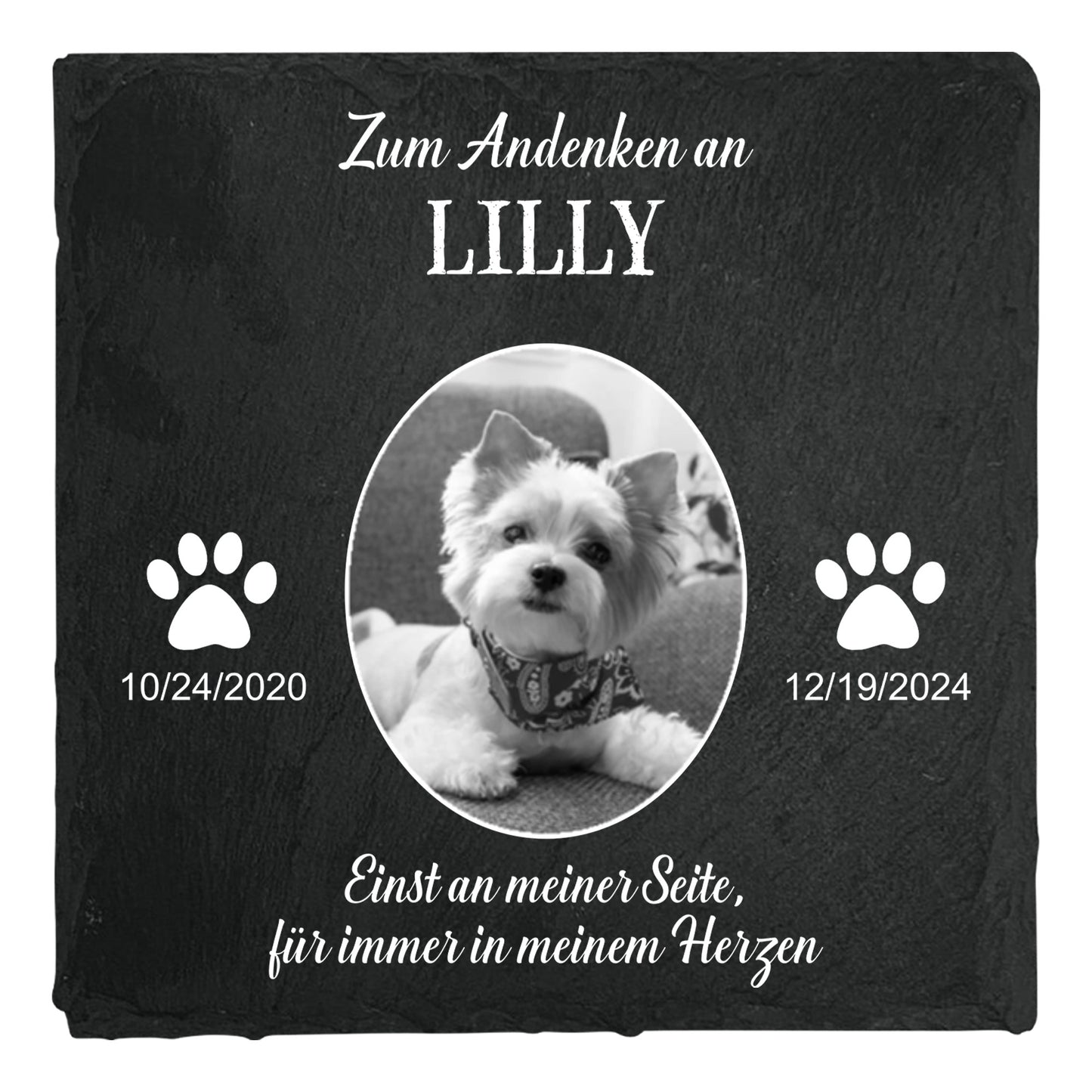 Geschenk zum Gedenken an Haustiere – Beste Freunde werden niemals vergessen – Personalisierter quadratischer Gedenkstein